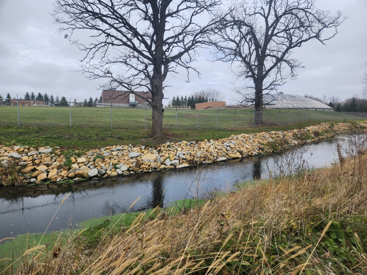 A streambank lined by rocks.